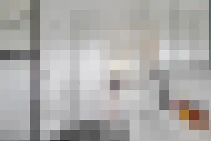 Rog 20 Hellevoetsluis thumbnail 27