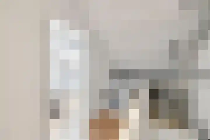Rog 20 Hellevoetsluis thumbnail 29