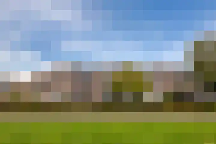Rog 20 Hellevoetsluis thumbnail 37