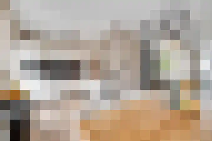 Rog 20 Hellevoetsluis thumbnail 4