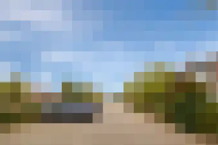 Rog 20 Hellevoetsluis thumbnail 40