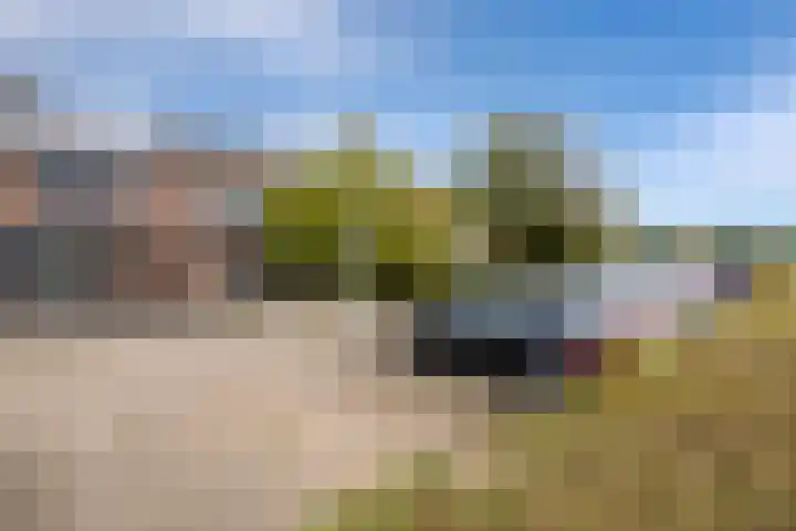 Rog 20 Hellevoetsluis thumbnail 41