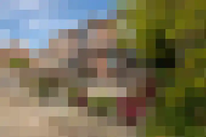 Rog 20 Hellevoetsluis thumbnail 7