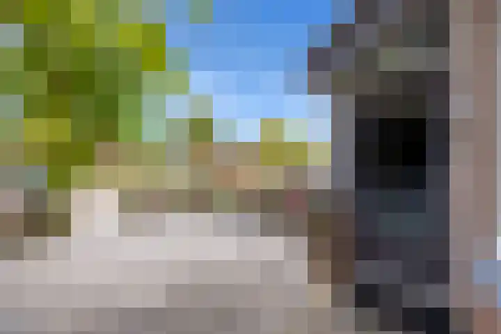 Rog 20 Hellevoetsluis thumbnail 9
