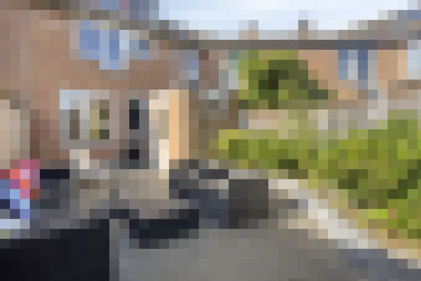 Rog 31 Hellevoetsluis thumbnail 36
