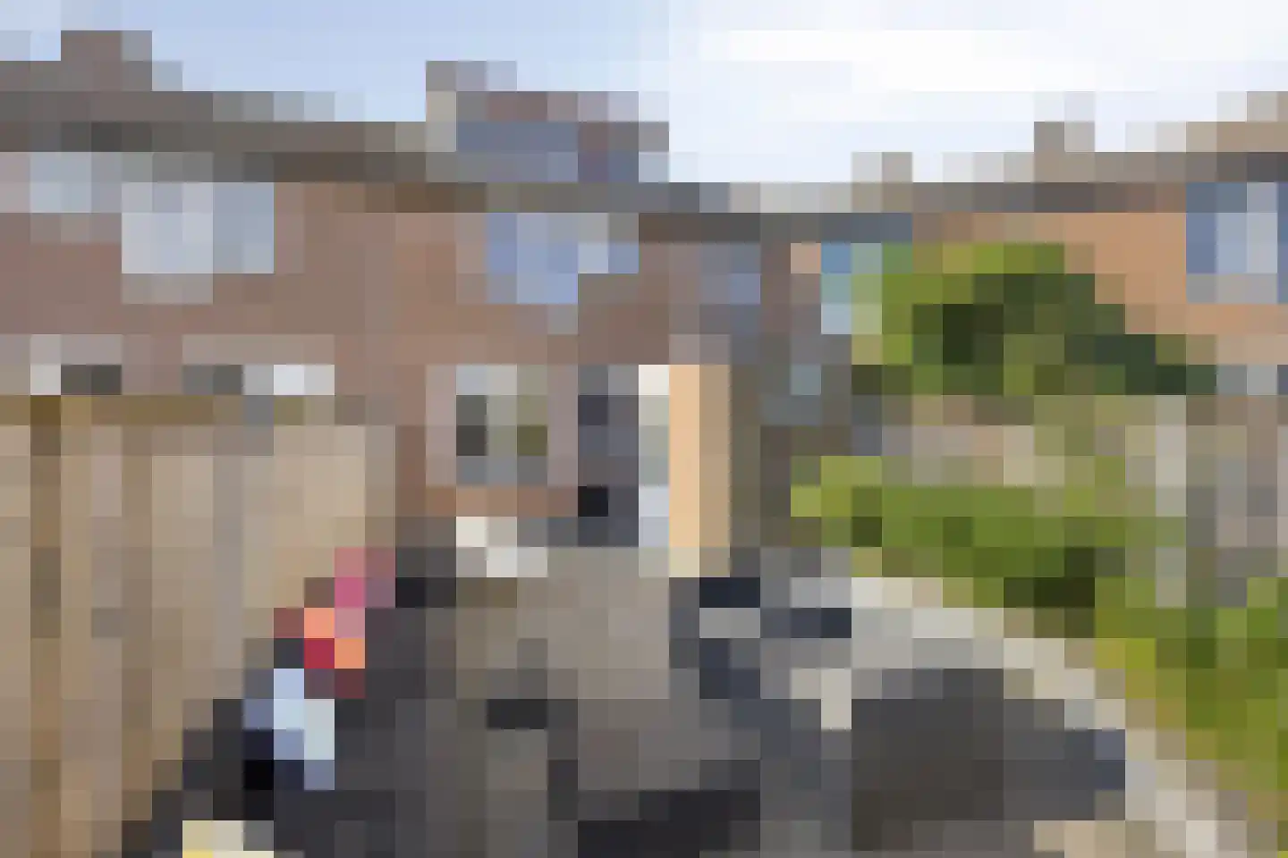 Rog 31 Hellevoetsluis thumbnail 6