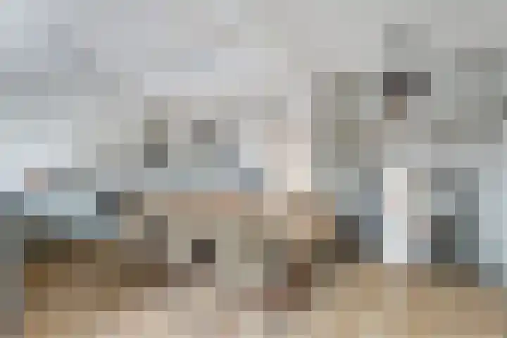 Rogaarplein 3 Amersfoort thumbnail 13