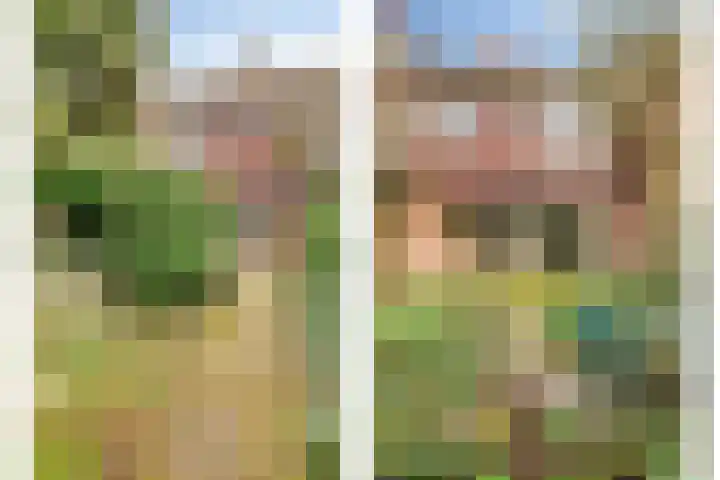 Rogakker 8 Lunteren thumbnail 30