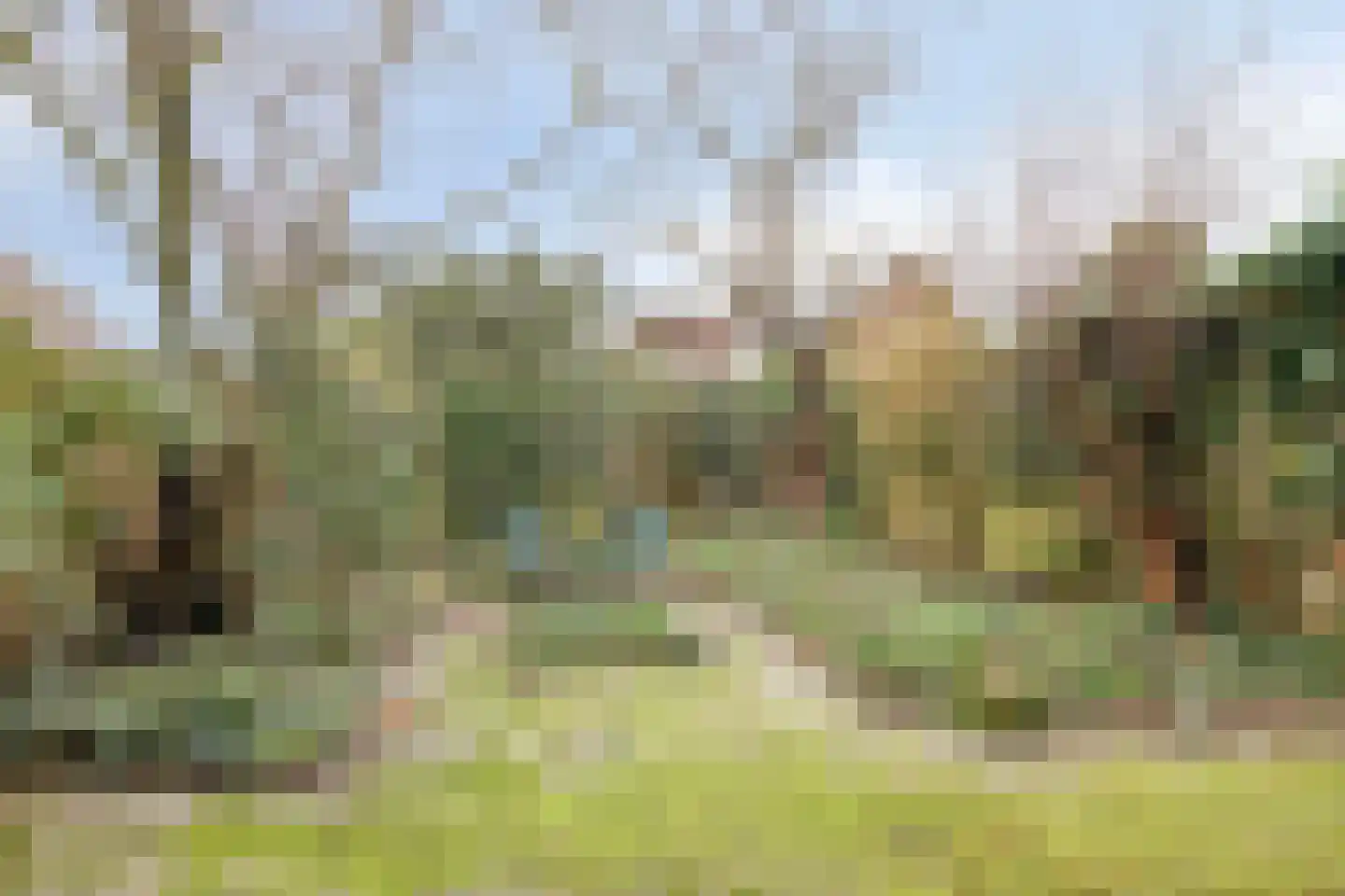 Rogakker 8 Lunteren thumbnail 31