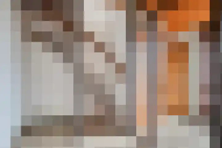 Rogakker 8 Lunteren thumbnail 8