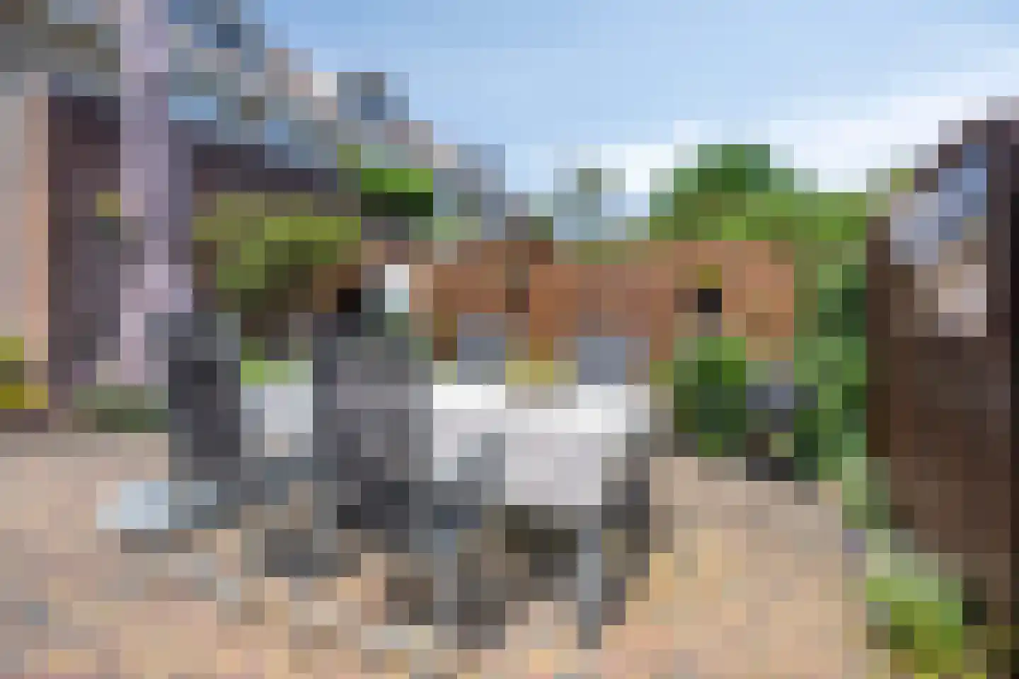 Rogaland 8 Capelle aan den IJssel thumbnail 22