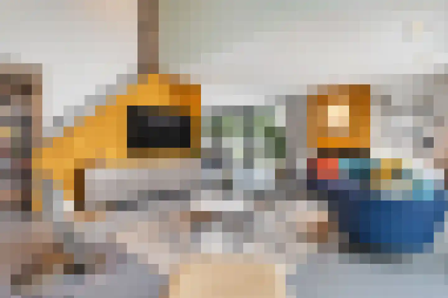 Rogat 1 Rogat thumbnail 10