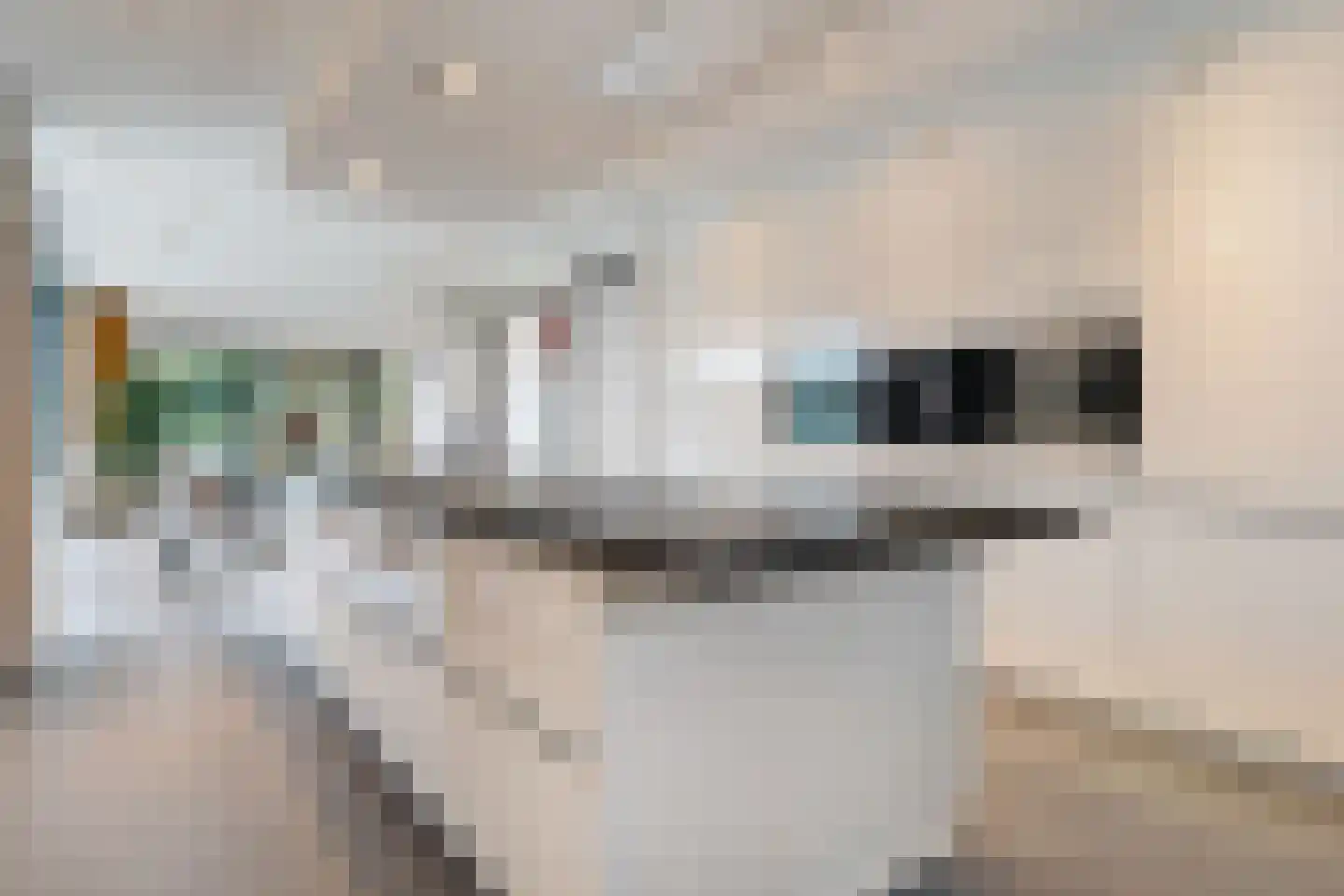 Rogat 1 Rogat thumbnail 16