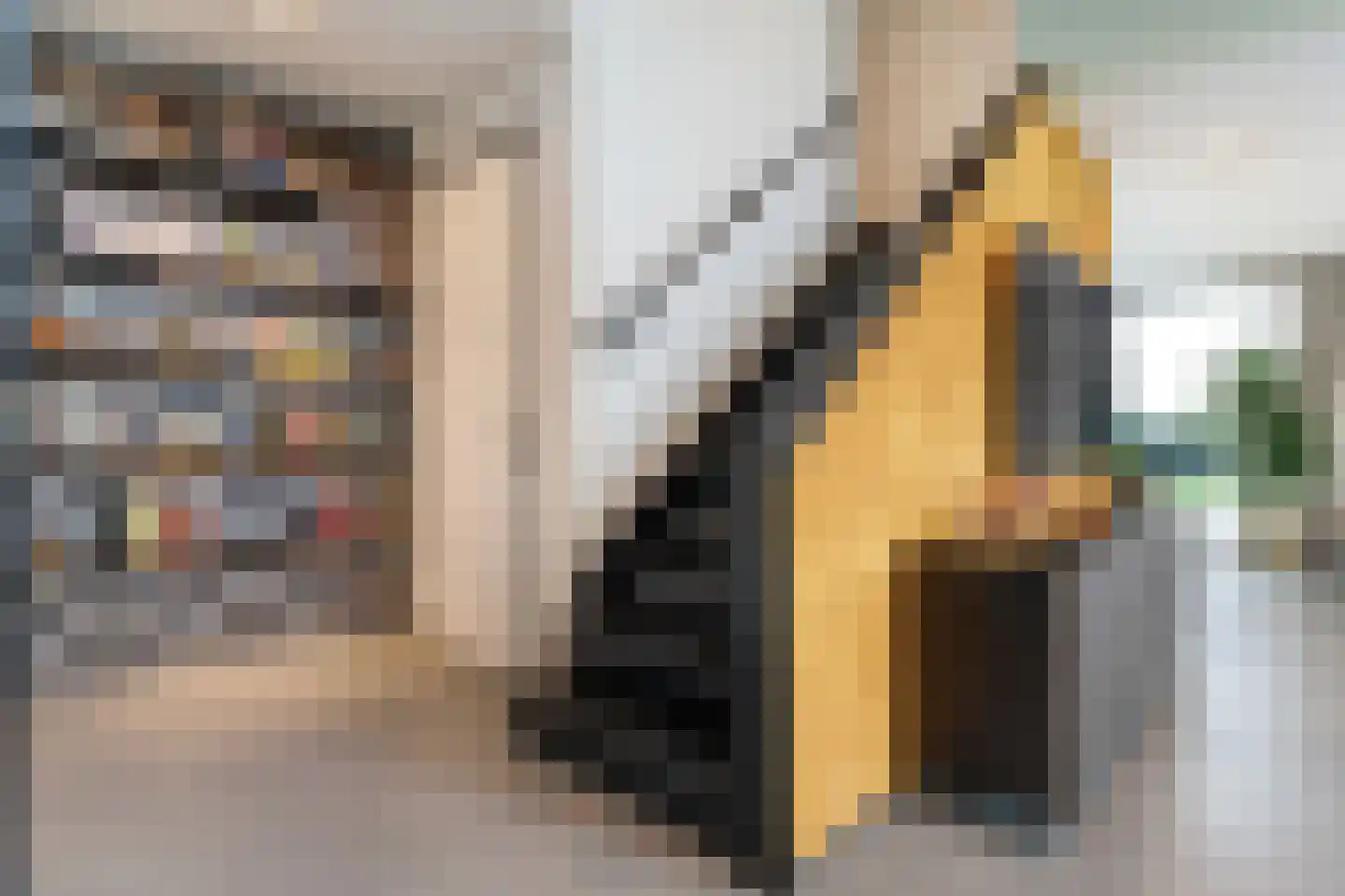 Rogat 1 Rogat thumbnail 22