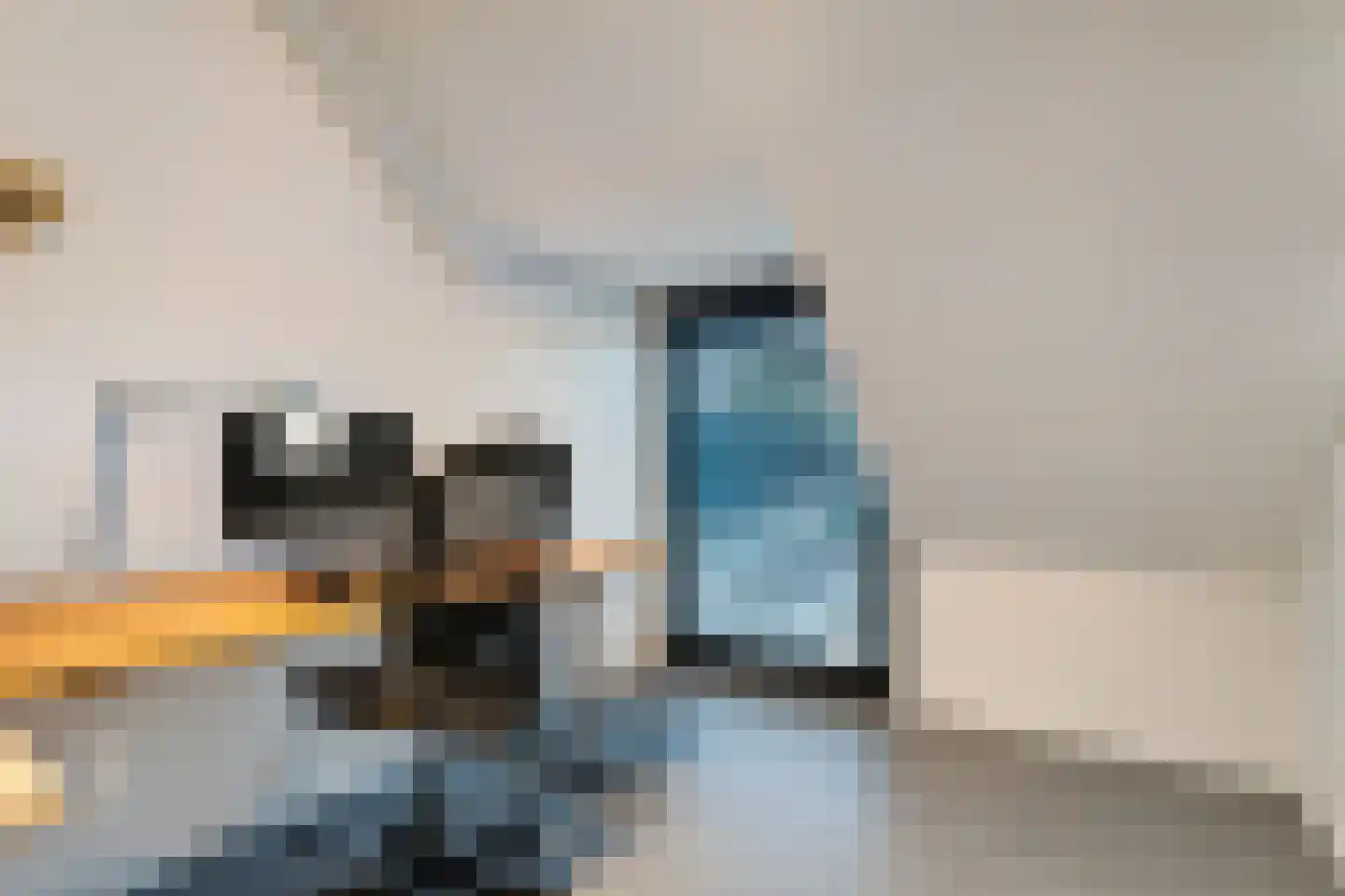 Rogat 1 Rogat thumbnail 38