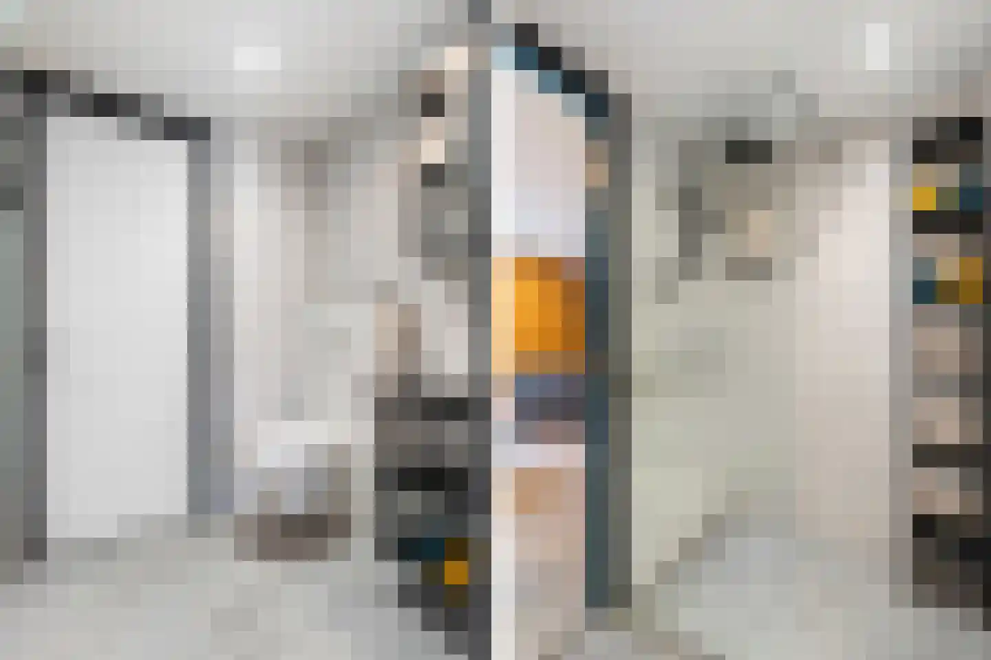 Rogat 1 Rogat thumbnail 47