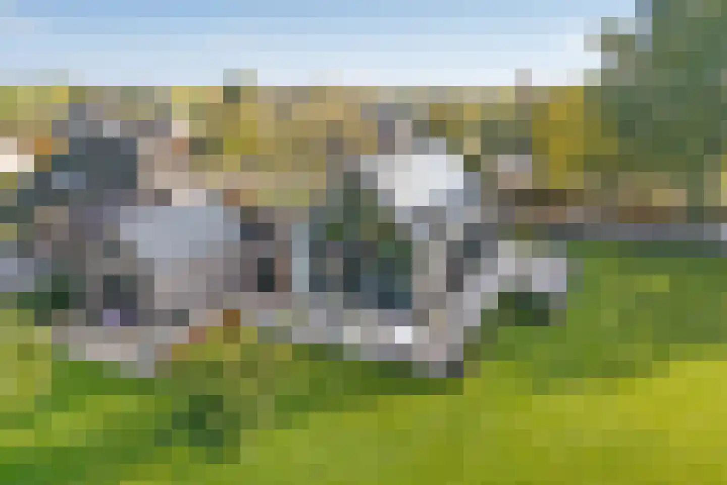 Rogat 1 Rogat thumbnail 55