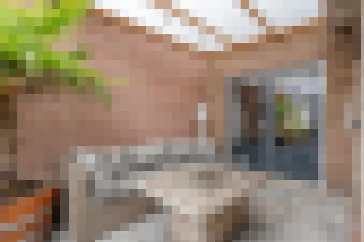 Rogat 18 Rogat thumbnail 30