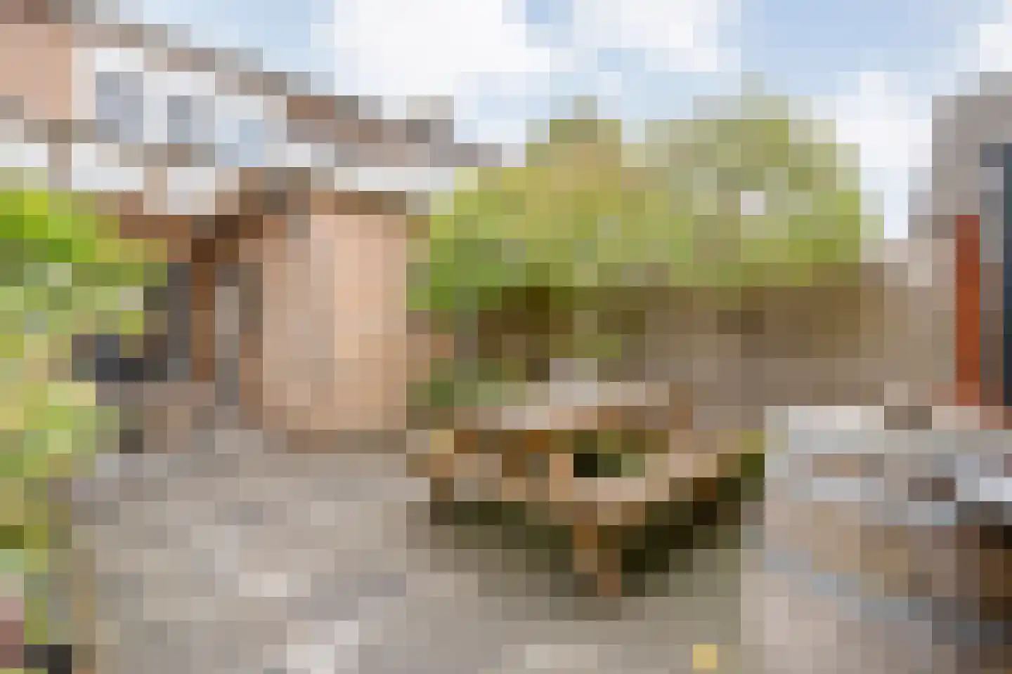 Rogat 18 Rogat thumbnail 32