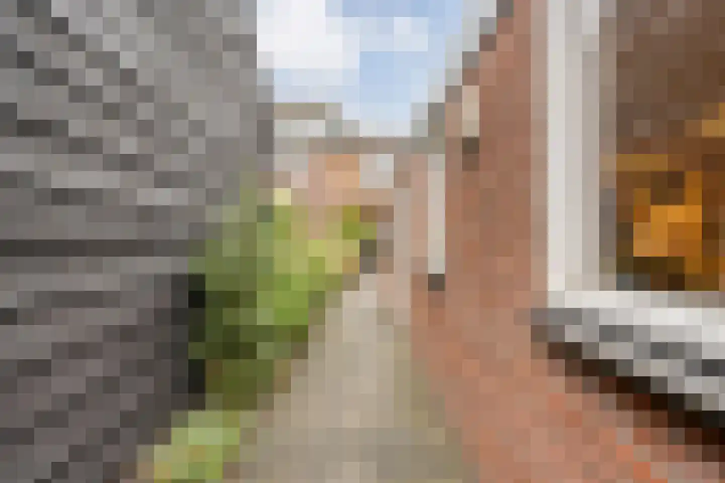 Rogat 18 Rogat thumbnail 38