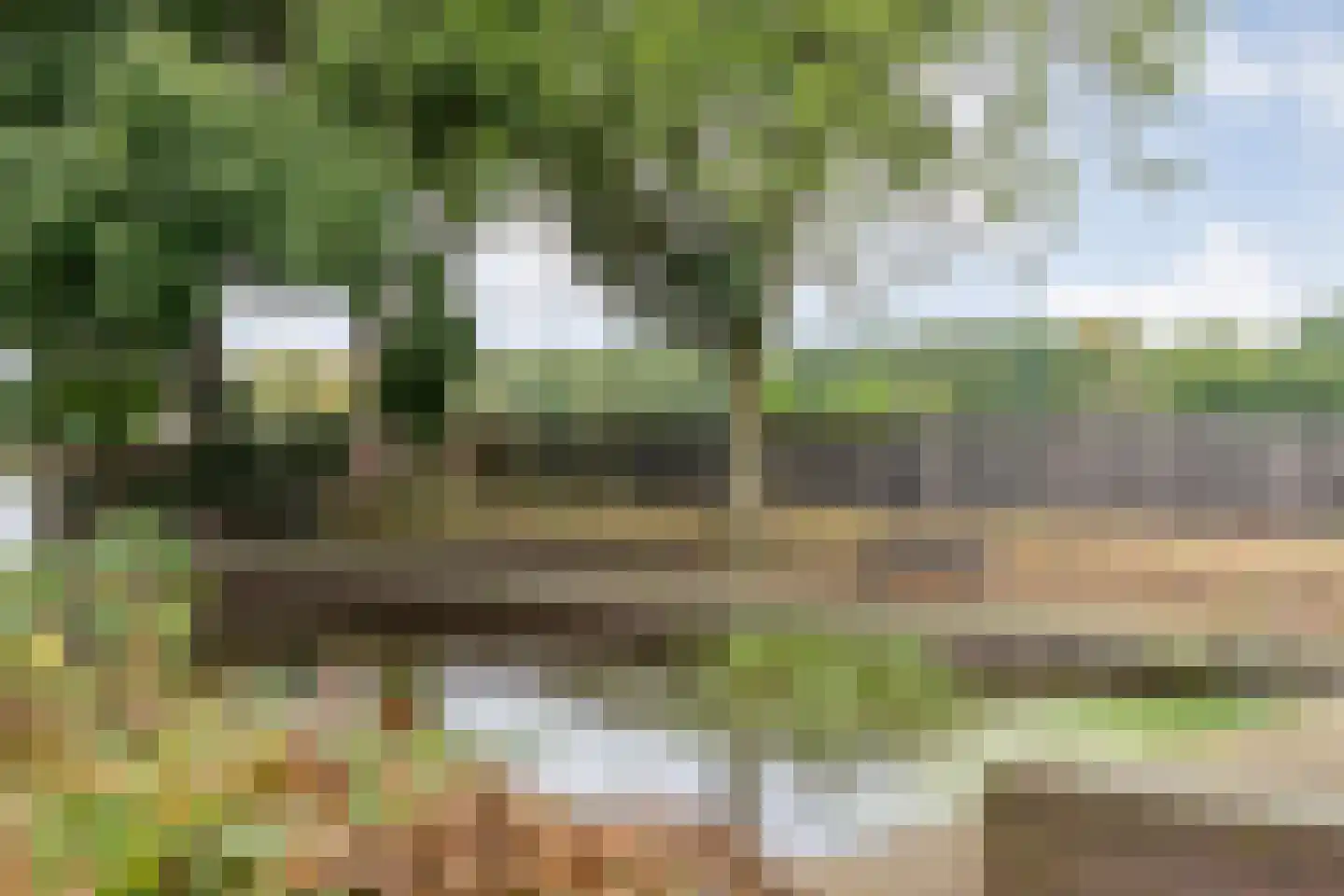 Rogat 18 Rogat thumbnail 39