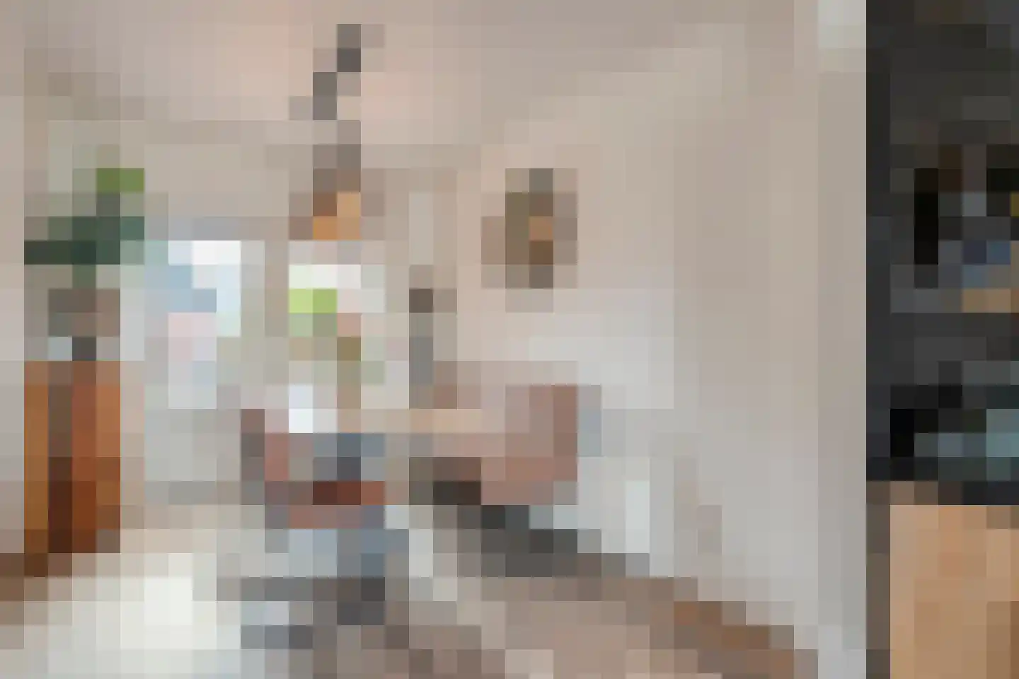 Rogat 18 Rogat thumbnail 7
