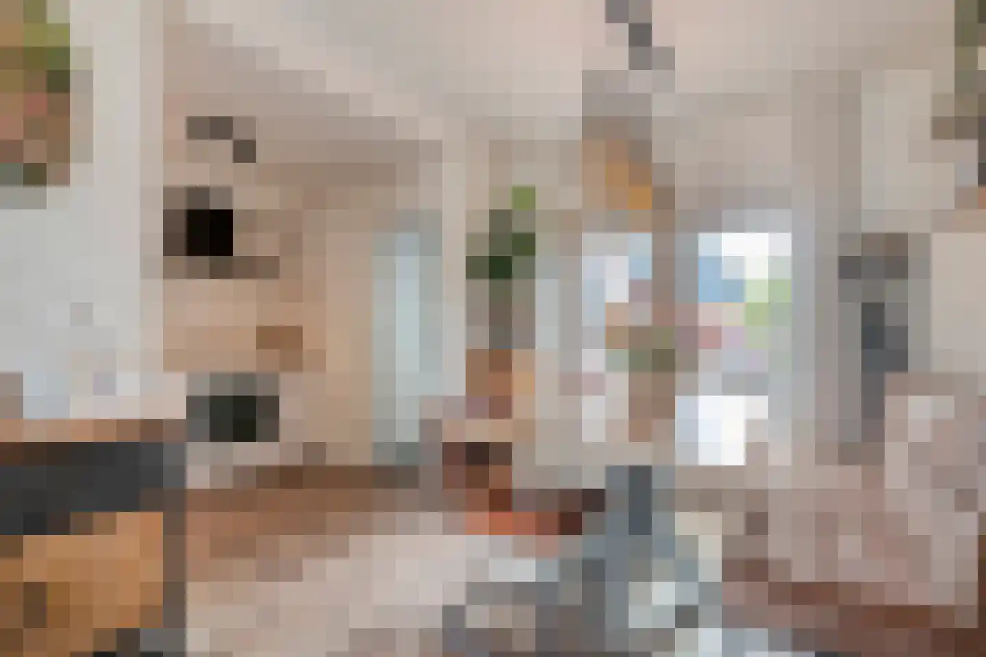 Rogat 18 Rogat thumbnail 8