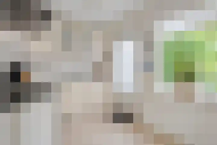Rogat 36 Rogat thumbnail 10