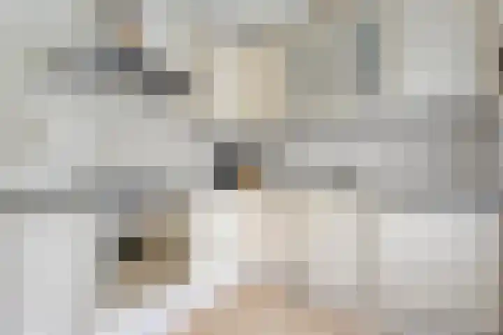 Rogat 36 Rogat thumbnail 11