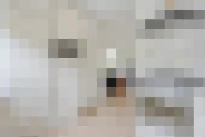 Rogat 36 Rogat thumbnail 12