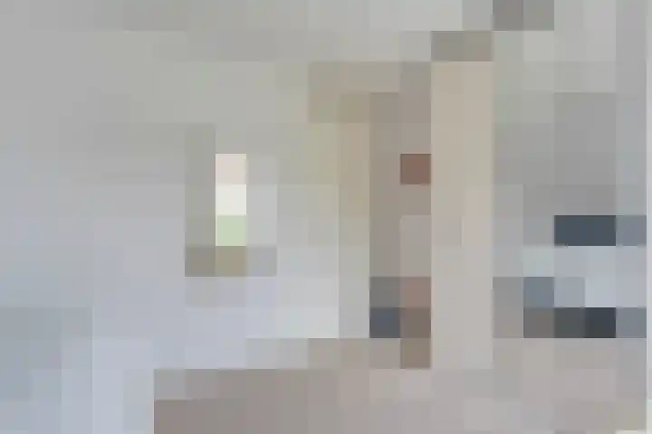 Rogat 36 Rogat thumbnail 18