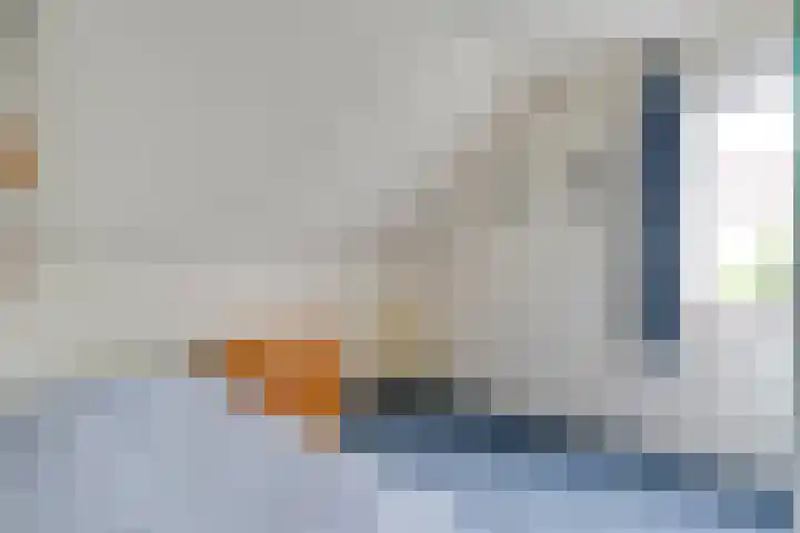 Rogat 36 Rogat thumbnail 19