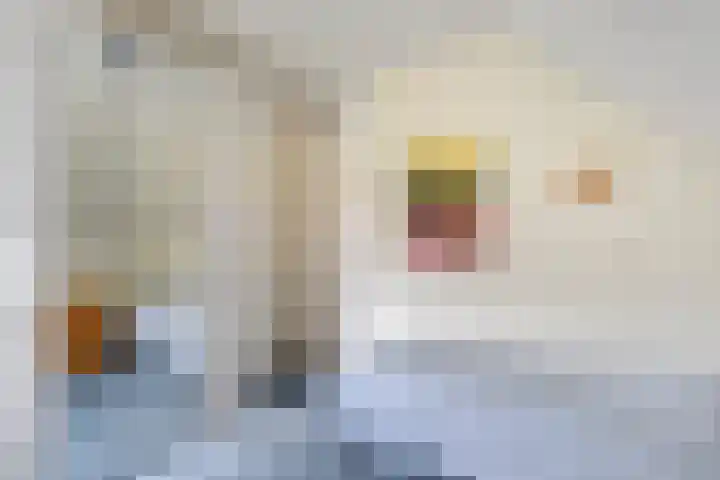 Rogat 36 Rogat thumbnail 20