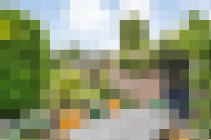 Rogat 36 Rogat thumbnail 27