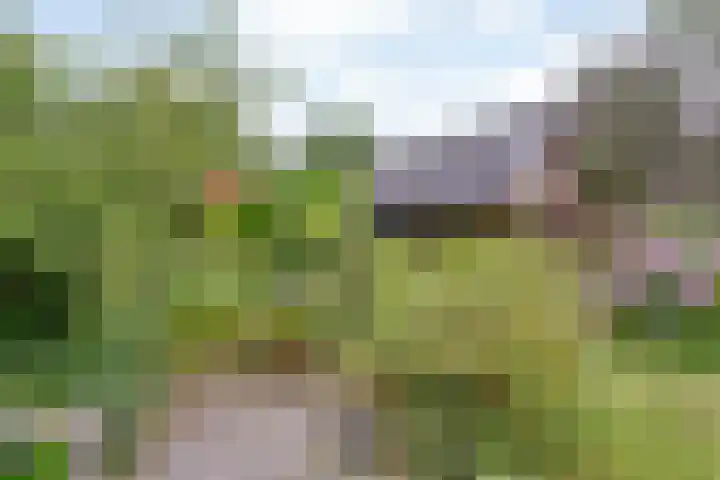 Rogat 36 Rogat thumbnail 30