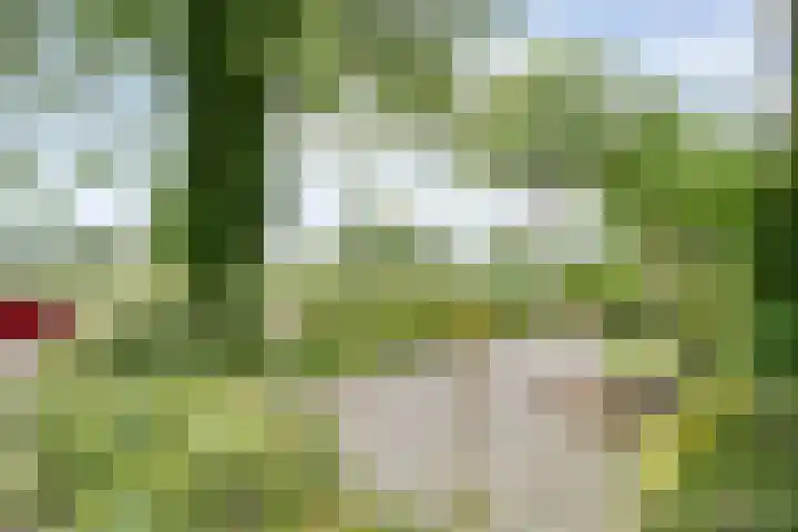 Rogat 36 Rogat thumbnail 33
