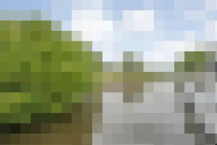 Rogat 36 Rogat thumbnail 34