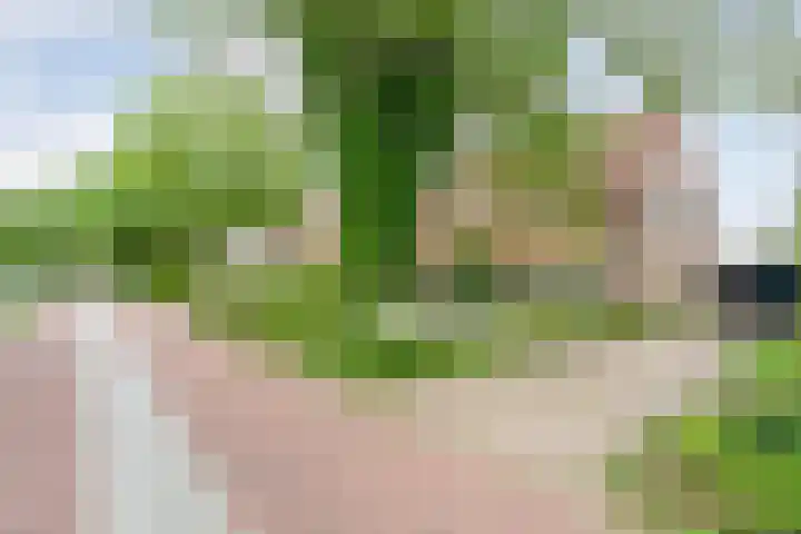 Rogat 36 Rogat thumbnail 35
