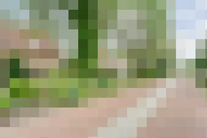 Rogat 36 Rogat thumbnail 36