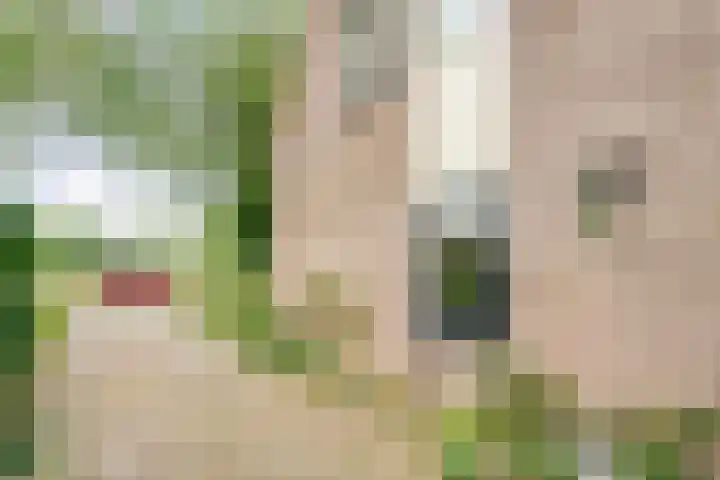 Rogat 36 Rogat thumbnail 38