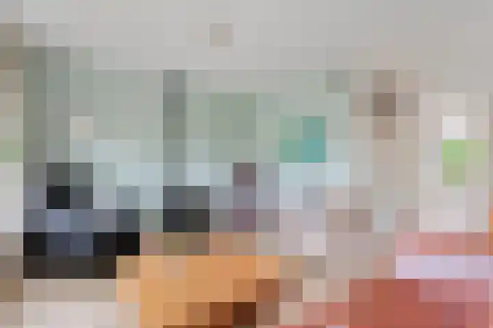 Rogat 36 Rogat thumbnail 4