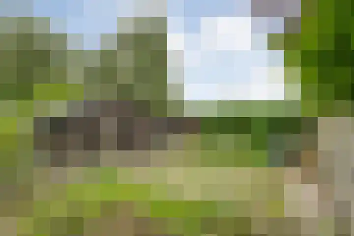 Rogat 36 Rogat thumbnail 40