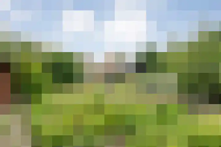 Rogat 36 Rogat thumbnail 41