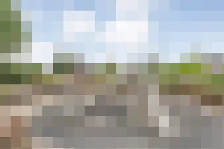 Rogat 36 Rogat thumbnail 42