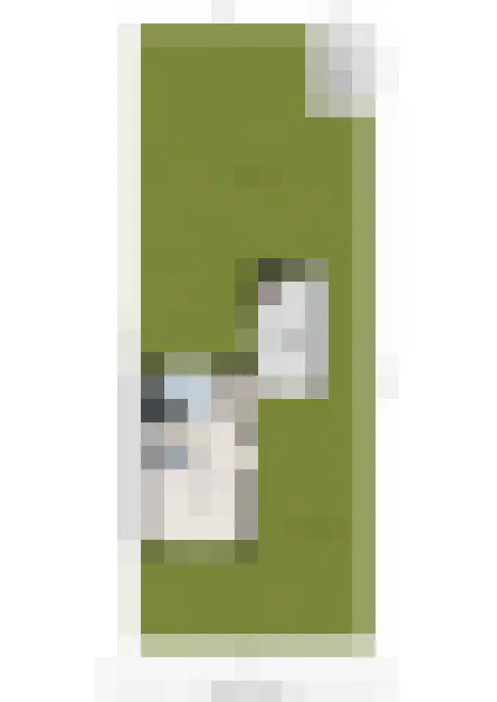 Rogat 36 Rogat thumbnail 49