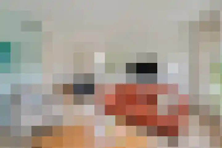 Rogat 36 Rogat thumbnail 5