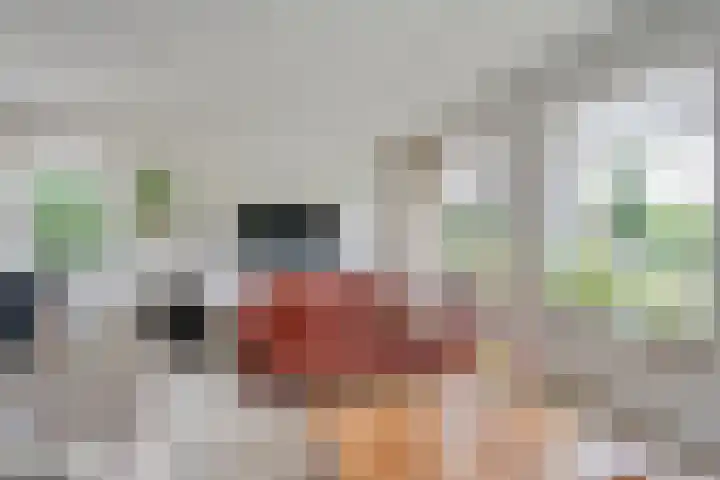 Rogat 36 Rogat thumbnail 6