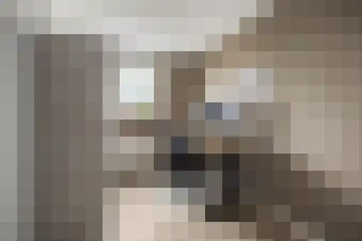 Rogberg 58 Puiflijk thumbnail 20