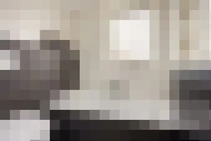 Rogberg 58 Puiflijk thumbnail 24