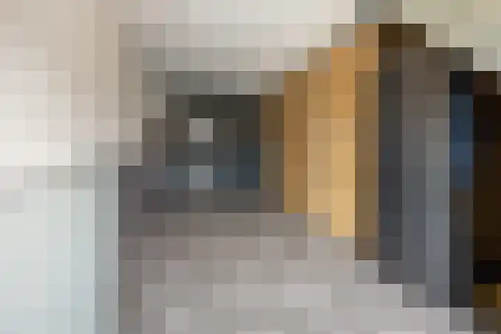 Rogberg 58 Puiflijk thumbnail 27